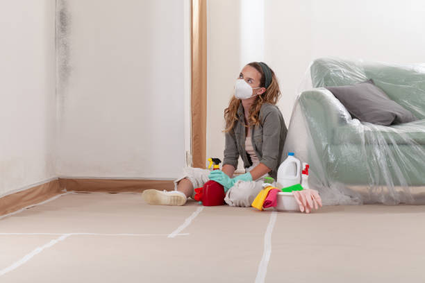 Reliable Black Mold Remediation contractor in Doylestown, PA by Car Mold Remediation